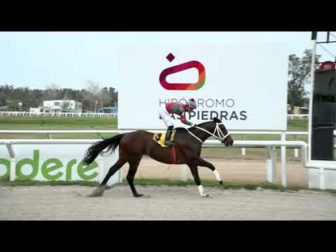 230722 c03 - ZAHER - HIPODROMO LAS PIEDRAS