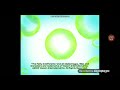 Billionfold Inc Frederator Incorporated Nickelodeon 2008