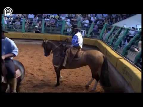 Bocal de Ouro Esteio (RS) – 3° lugar fêmeas – Oraca III da Vendramin-Te