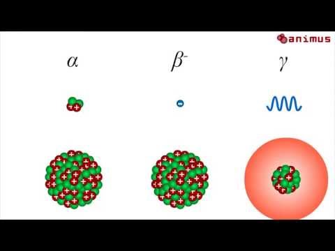 animus Tutorials: radioaktive Strahlung