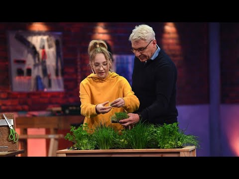 Kräuterelfe - Macht die Schere zur Erntemaschine - Das Ding des Jahres