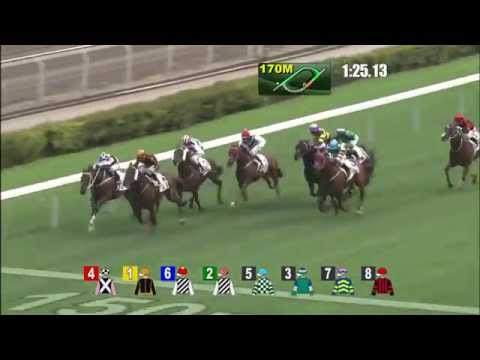 ABLE FRIEND takes the Chairman’s Trophy 2015