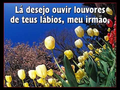 No Celeste Lar Glorioso    -     Hino  561