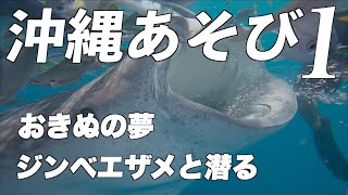 [Okinawa Activities 1] Okinu's dream is to dive with whale sharks