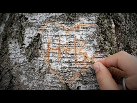 BONNding - TEASER SONG - Medimeisterschaften 2022 Hamburg