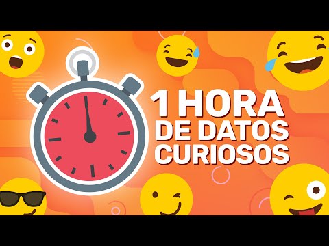 , title : '1 HORA SIN PAUSAS DE DATOS CURIOSOS! (XpressTV)'
