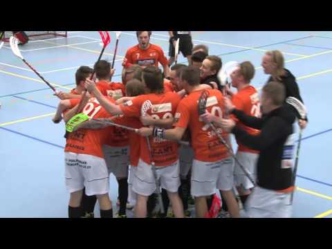 Blue Fox - SB Vaasa su 29.11.2015 - Maalikooste