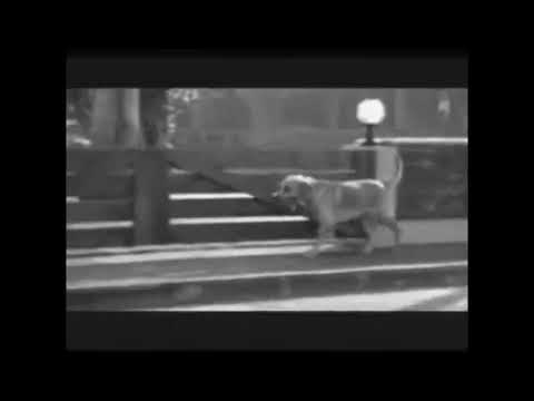 ٢٨ يوليو ٢٠٢٠(5)