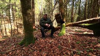 Waldlager 2025 04 06