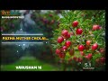 Pazha Muthir Cholai Varusham 16 ILAYARAJA 5 1 SURROUND BASS BOOSTED SVP Beats