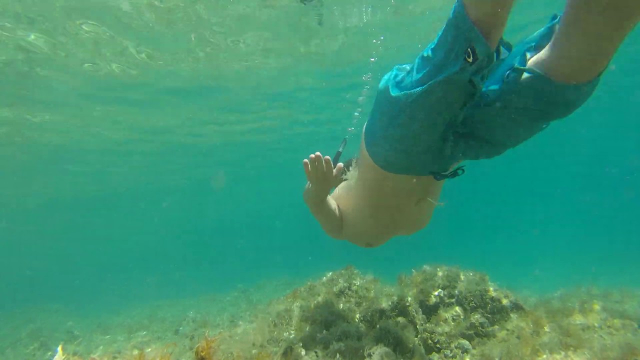 W9 - video 2 W9 - video 2