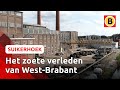 Brabant was 150 jaar geleden dé suikerprovincie van Nederland | Suikerhoek