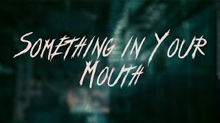 Nickelback - Something in Your Mouth | Lyrics