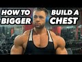 HOW TO BUILD A BIGGER CHEST!