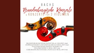 Download lagu Doppelkonzert f. 2 Violinen & Orch. D-moll Bwv 104 (Largo, Ma Non Tanto) mp3 Download lagu Doppelkonzert f. 2 Violinen & Orch. D-moll Bwv 104 (Largo, Ma Non Tanto) mp3