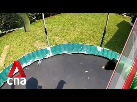 Delivery Person Asked If They Could Bounce On A Customer's Trampoline, And It's The Most Wholesome Thing You'll Watch Today