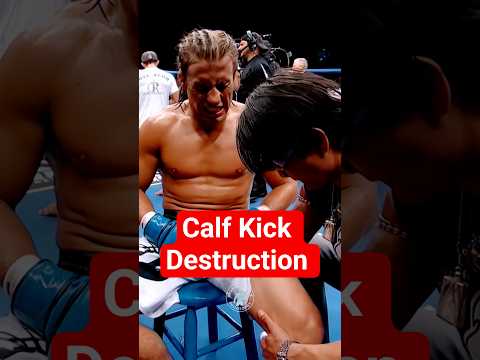Dustin Poirier On Calf Kick Destruction