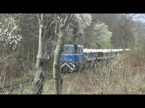 MOCĂNIŢA: FIENI - PIETROŞIŢA - MOROENI (13 aprilie 2015) #romania #travel #train