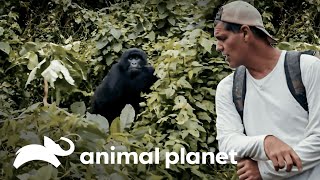 Thumbnail del capítulo