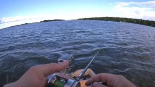 Shimano calcutta conquest 101 dc