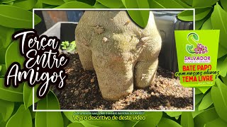 TERÇA ENTRE AMIGOS 220ª EDIÇÃO | VAMOS TIRAR DÚVIDAS E CONVERSAR COM AMIGOS E MEMBROS DE NOSSO CANAL