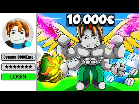 I bought Blox Fruits Accounts for 24 hours.