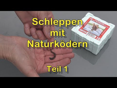 Schleppen mit Naturködern (Teil 1) Unterwasseraufnahmen
