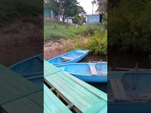 Naturaleza viva en la Provincia de Mayabeque, Cuba . Campismo Popular Boca de Jaruco.