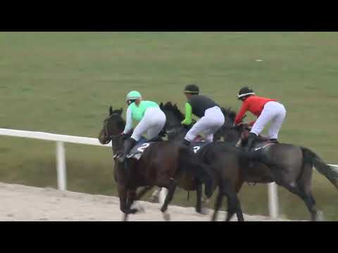 2022.10.30. 00. futam - Nyilvános galopp