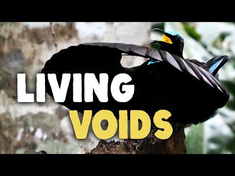 These Beasts Are Living Black Holes