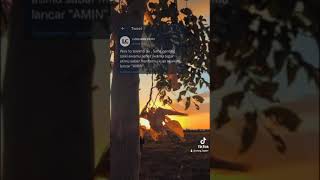 Download lagu tiktok story wa,tiktok kata kata tiktok sadboy mp3