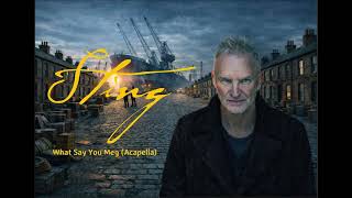 Sting - What Say You Meg (Acapella)