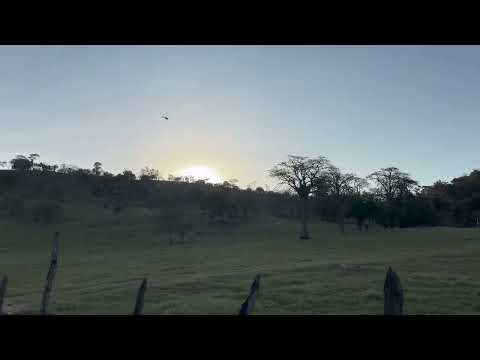 Vila de São Francisco Paulo Jacinto Alagoas 