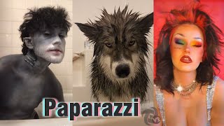 I&#39;m your biggest fan, I&#39;ll follow you until you love me - Paparazzi NEW TIKTOK TREND