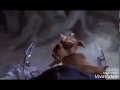 Scrappy Rex Growth Normal And Solo Mo