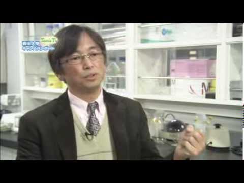 薬学部 友廣岳則 准教授 (ケミカルバイオロジー・光化学)【Tom's TV 2013】
