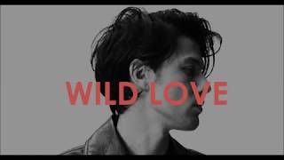 James Bay - Wild Love (Lyrics)