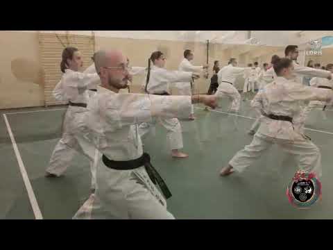 KARATE SHOTOKAN TERRANEGRA DI LEGNAGO (VR)