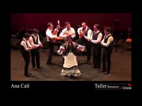 Baile - Ana Calí
