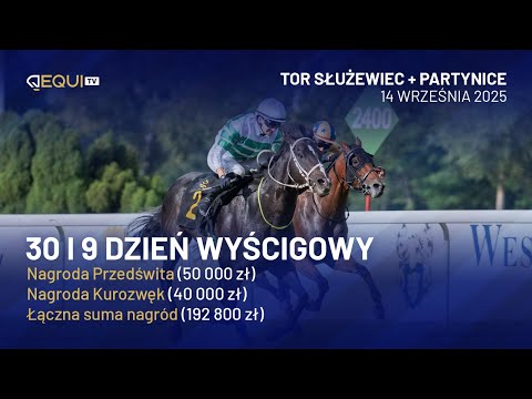 Nagrody Przedświta i Kurozwęk🔥 2025 – wyścigi na żywo