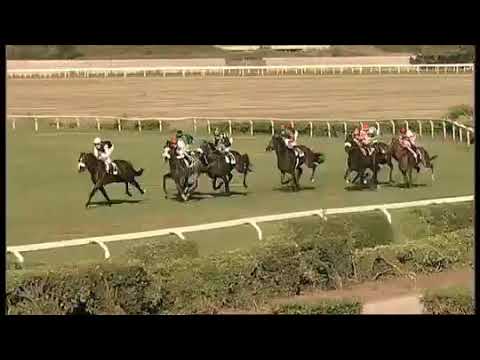 2020.07.12 Premio Presidente della Repubblica (ITA) - Thunderman