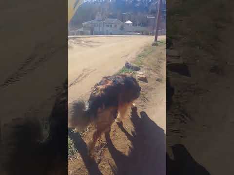 La cordillera del viento huinganco neuquén