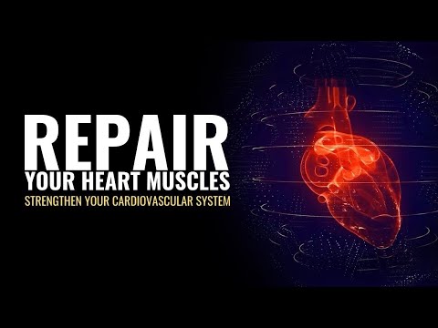 Repair Your Heart Muscles Regulate Blood Flow | Strengthen Your Cardiovascular System | Heal Heart