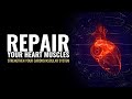 Repair Your Heart Muscles Regulate Blood Flow Strengthen Your Cardiovascular System Heal Heart