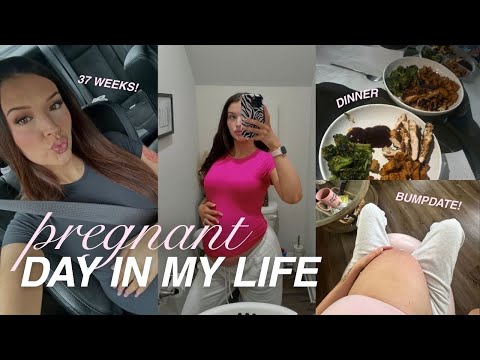 *pregnant*day in my life|be intentional with your time, HONEST breakfast chat,& high protein meals!🤍