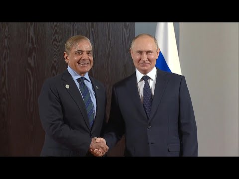 Russia's Putin meets Pakistan PM Sharif | AFP
