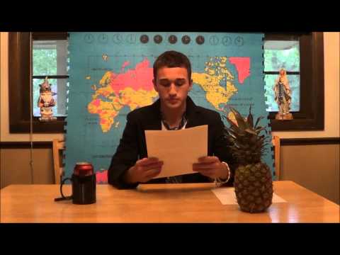 Pacem in Terris, an overview