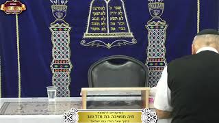 בית המדרש "תורת דוד" ¤ שידור חי ¤ כ"ז כסלו תשפ"ו (17.12.2025) (מוסדות תורת דוד) - התמונה מוצגת ישירות מתוך אתר האינטרנט יוטיוב. זכויות היוצרים בתמונה שייכות ליוצרה. קישור קרדיט למקור התוכן נמצא בתוך דף הסרטון