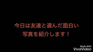 面白い画像紹介「多分」
