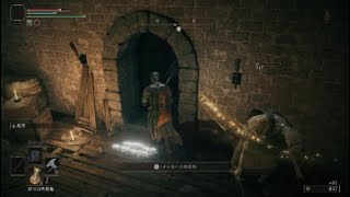 名もなきザコに苦悩する(ELDEN RING)